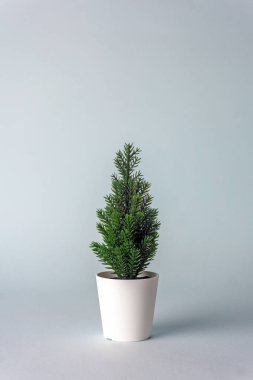 Mavi arka planda minimalist Noel ağacı (ladin ağacı). 