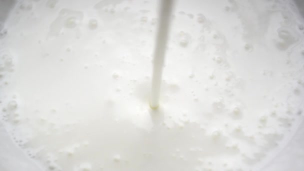 Mjölk Yoghurt Eller Grädde Hälls Skålen Långsam Produktion Mejeriprodukter — Stockvideo