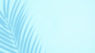 Renkli mavi arka planda tropikal yaprakların gölgesi ve palmiye ağacı izole edilmiş. Tropik yaz arkaplanı, minimum konsept.