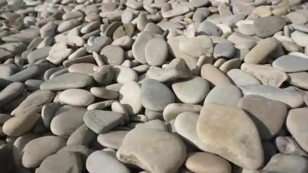Pebbles Stones Background Gray Stones Beach River Sea Sun Nature — Stock Video