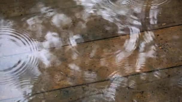 Regnig Dag Droppar Regn Faller Terrassen Huset Blöt Regnig Dag — Stockvideo