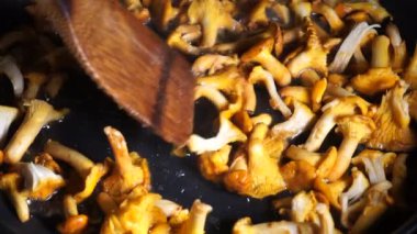 Hanterelle mantarları tavada kızartılır. Yaban mantarı yemekleri, ev yemekleri.