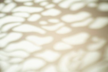 Güneşli bir havada, beyaz bir duvarda bir ağacın yapraklarının gölgesi parlak bir ışıkla. Fotoğraf için gölge örtüsü efekti.