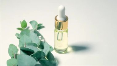 Okaliptüs yağı izole edilmiş. Beyaz arka planda yaprakları olan okaliptüs yağı. Kozmetik ve okaliptüs özlü aromatik yağlar