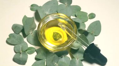 Okaliptüs yağı izole edilmiş. Beyaz arka planda yaprakları olan okaliptüs yağı. Kozmetik ve okaliptüs özlü aromatik yağlar