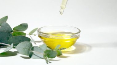 Okaliptüs yağı izole edilmiş. Beyaz arka planda yaprakları olan okaliptüs yağı. Kozmetik ve okaliptüs özlü aromatik yağlar