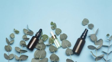 Cam şişelerde okaliptüs yağı. Okaliptüs temel yağına dayanan kozmetik ve aromaterapi