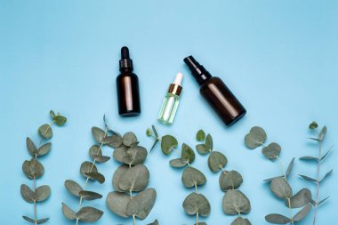 Cam şişelerde okaliptüs yağı. Okaliptüs temel yağına dayanan kozmetik ve aromaterapi