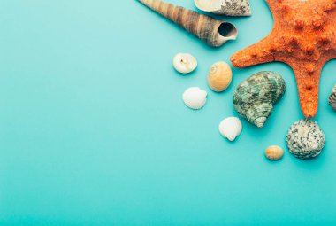 Deniz (okyanus) arka planı. Mavi arka planda deniz kabukları. Dinlenme, rahatlama, deniz, okyanus, yaz konsepti.
