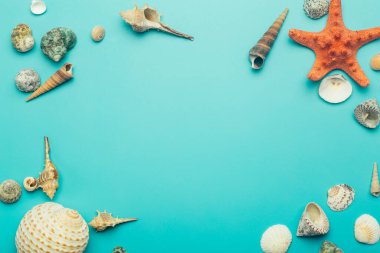 Deniz (okyanus) arka planı. Mavi arka planda deniz kabukları. Dinlenme, rahatlama, deniz, okyanus, yaz konsepti.