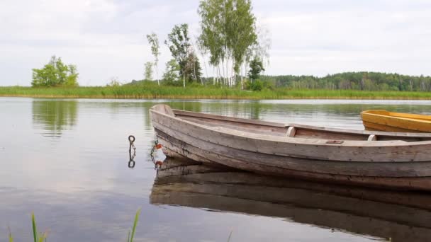在平静的夏天湖上划船 放松与自然的视频 禅定的自然背景 — 图库视频影像
