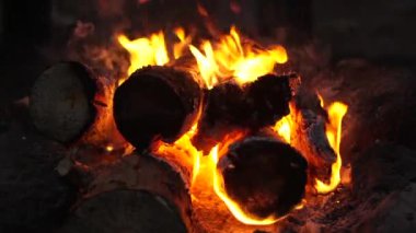 Ormanda şenlik ateşi. Kampın ormanında gece alevlerle yanan şenlik ateşi. Yakacak odun, kıvılcımlar saçar.