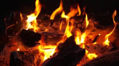 Ormanda şenlik ateşi. Kampın ormanında gece alevlerle yanan şenlik ateşi. Yakacak odun, kıvılcımlar saçar.