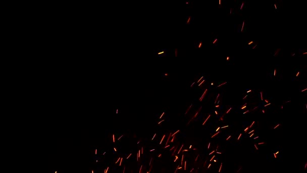 Sparks Tűz Máglya Egy Fekete Háttér Elszigetelt Sparks Háttér — Stock videók