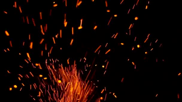 Sparks Fire Bonfire Black Background Isolated Sparks Background — Stock Video