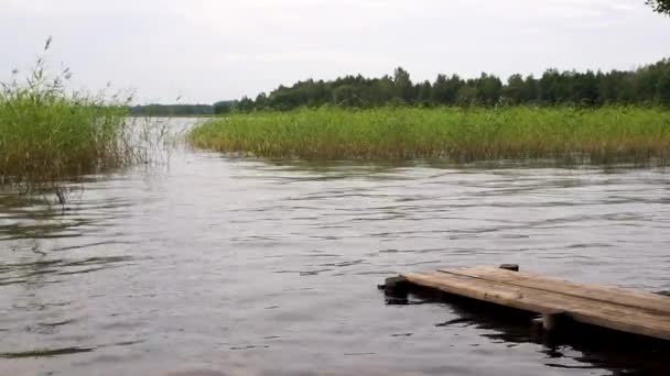 Paisagem Com Lago Verão Lago Calmo Verão Outono Relaxe Vídeo — Vídeo de Stock