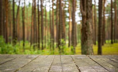 Orman geçmişi bulanık. Yaz ya da bahar ormanı, güneşli havada, arka planda, ahşap masa ile..