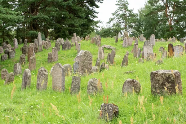 Old Cemetery Ancient Stone Tombstones Old Gravestones Grass Cemetery Summer — Stock Photo, Image
