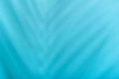 Gölge örtüsü etkisi. Tropikal palmiyelerin gölgeleri ve güneş ışığında mavi bir duvarda yapraklar. Yumuşak güneş ışığı