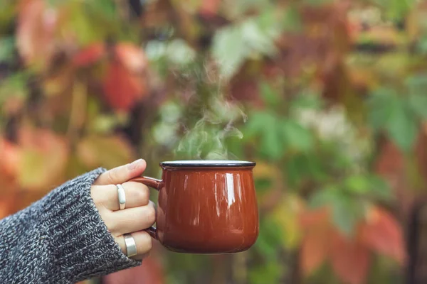 秋の公園で女性の手にコーヒーやお茶を飲むのカップ 居心地の良い 愛とロマンスの概念 スペースのコピー — ストック写真