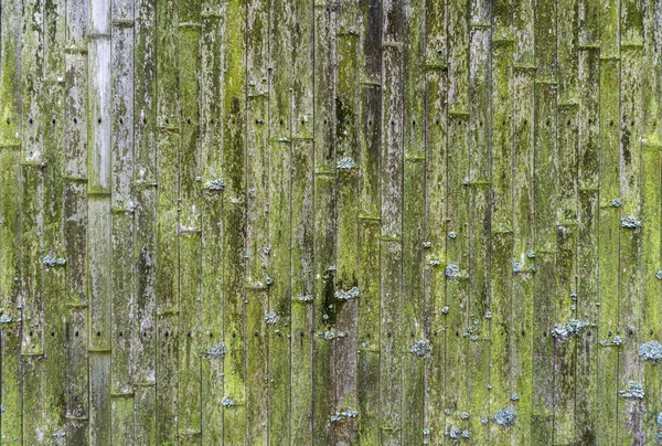 Vecchio Sfondo Bambù Muro Recinto Vecchio Bambù Texture Texture Legno — Foto Stock