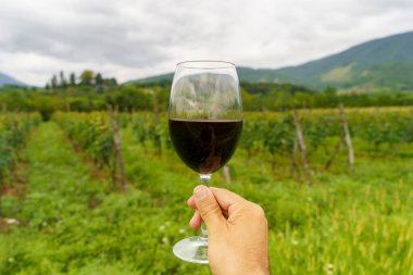 Üzüm bağında el ele tutuşan kırmızı şarap kadehi. Yüksek kalite fotoğraf