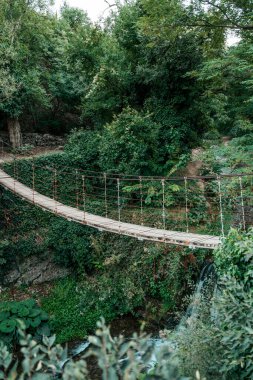 Ormandaki Askı Köprüsü. Macera ve Doğa Kavramı. Yüksek kalite fotoğraf