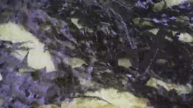 Balık çiftliğinde mersin balıklarıyla dolu büyük bir tank, su ürünleri ve sürdürülebilir balık üretimi sergileniyor..