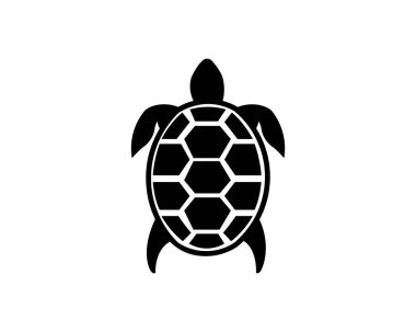 Kaplumbağa simge vektör, dolu düz işareti, üzerinde beyaz izole katı piktogram. Sembol, logo illüstrasyon