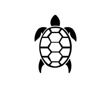 Kaplumbağa simge vektör, dolu düz işareti, üzerinde beyaz izole katı piktogram. Sembol, logo illüstrasyon