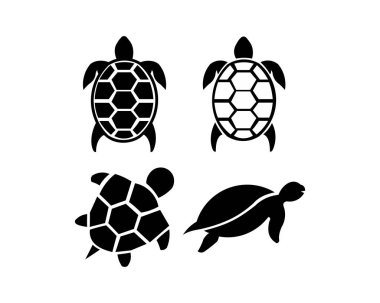 Kaplumbağa simge vektör, dolu düz işareti, üzerinde beyaz izole katı piktogram. Sembol, logo illüstrasyon