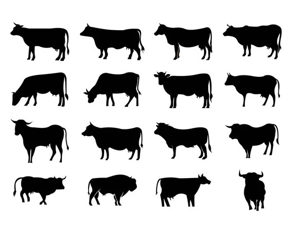 Αγελάδα Που Βόσκουν Λιβάδια Σιλουέτα Αγελάδα Τρώει Χόρτο Πεδίο Διάνυσμα — Διανυσματικό Αρχείο