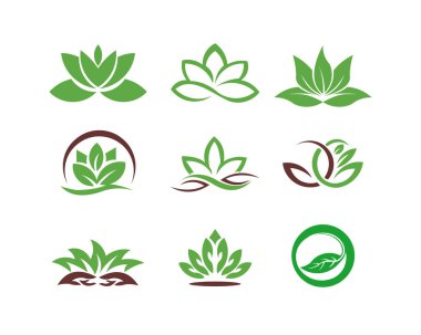 İnsanlar topluluk yeşil yaprak ekoloji doğa eleman