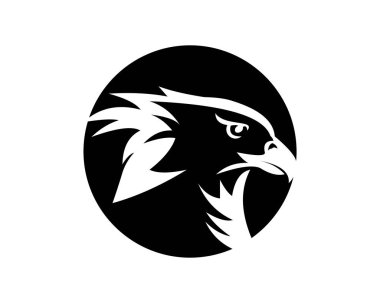 kuş kartal şahin hayvan tüyü vektör logosu