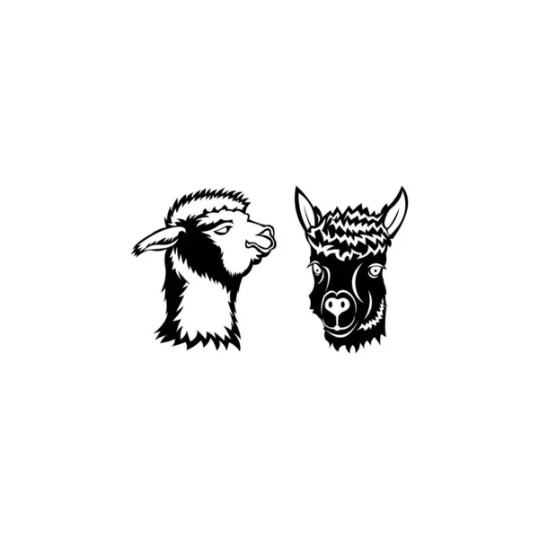 Шаблон Логотипа Верблюда Векторная Иллюстрация Верблюда — стоковый вектор