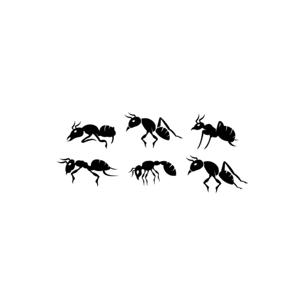 Ant Set Black Insect Silhouettes Trip Ant Black Teamwork Colony — стоковый вектор