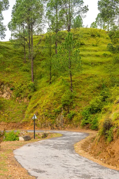 Road Mountains Nainital Lohaghat Uttarakhand — Stock Photo, Image