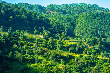 Manzara Jauljibi - Hindistan Nepal Sınır, Uttarakhand
