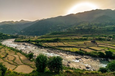 Himalayalar'daki Basamaklar - Uttarakashi, Uttarakhand, Hindistan -