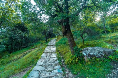 Himalayalar'daki Deoria Tal Trek - Sari Village Chopta, Uttarakhand
