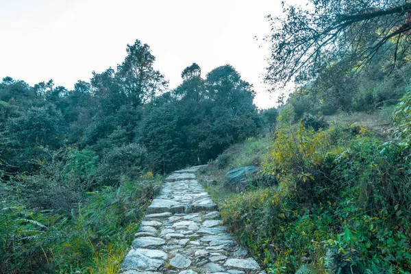 Foto Deoria Tal Trek Himalaia Sari Village Chopta Uttarakhand — Fotografia de Stock