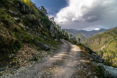 Off Road in Mountains in Sankri Range, Uttarakhand, Hindistan
