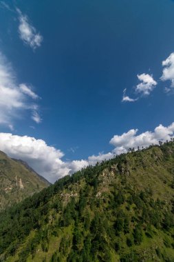 Himalaya Manzara fotoğrafı: Sankri Range, Uttrakhand, Hindistan