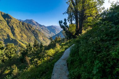 Himalayalar'da Köy Yolu veya Yolu - Sankri Range, Uttarakhand