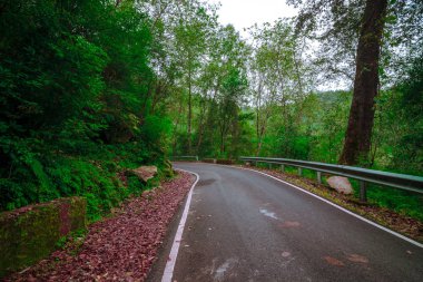Sarı Köyden Chopta'ya Giden Yol - Uttarakhand