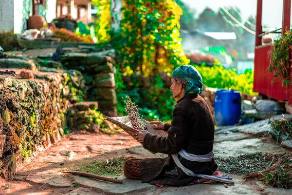 Sankri Range Uttrakhand India October 2018 Photo Working Old Lady — Stock Photo, Image