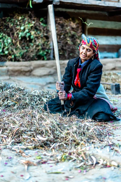 桑卡里山脉 乌塔拉坎德 2018年10月7日 喜马拉雅山工作老妇人的肖像 — 图库照片