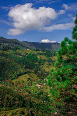 Uttarakhand Bhimtal Road Görünümü - Nainital District, Himalayalar