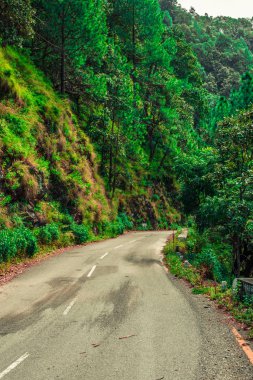 Himalayalar'da Boş Yol - Bhimtal, Uttarakhand, Hindistan