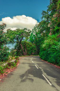 Himalayalar'da Boş Yol - Bhimtal, Uttarakhand, Hindistan